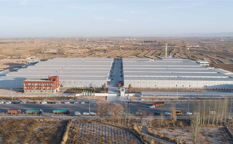 Zhongxing Mushroom Industry Wuwei Edible Fungi Production Base